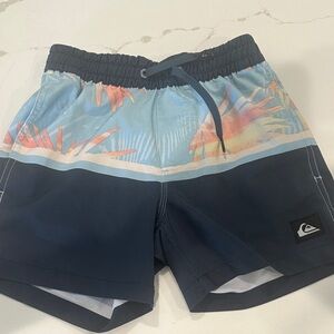 Quiksilver Navy and Light Blue Swim Shorts